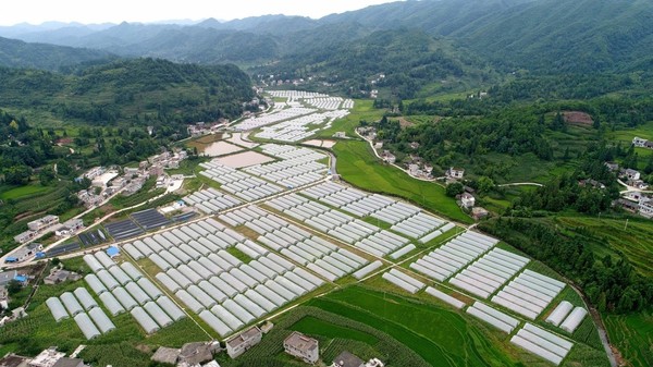 吉阡村新项目开发，乡村振兴再添新篇章