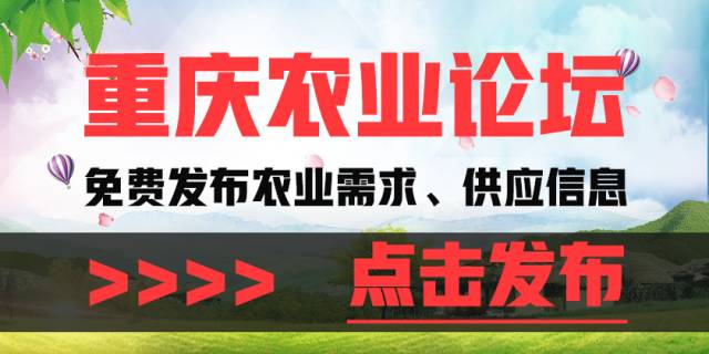 流顺乡最新招聘信息全面解析